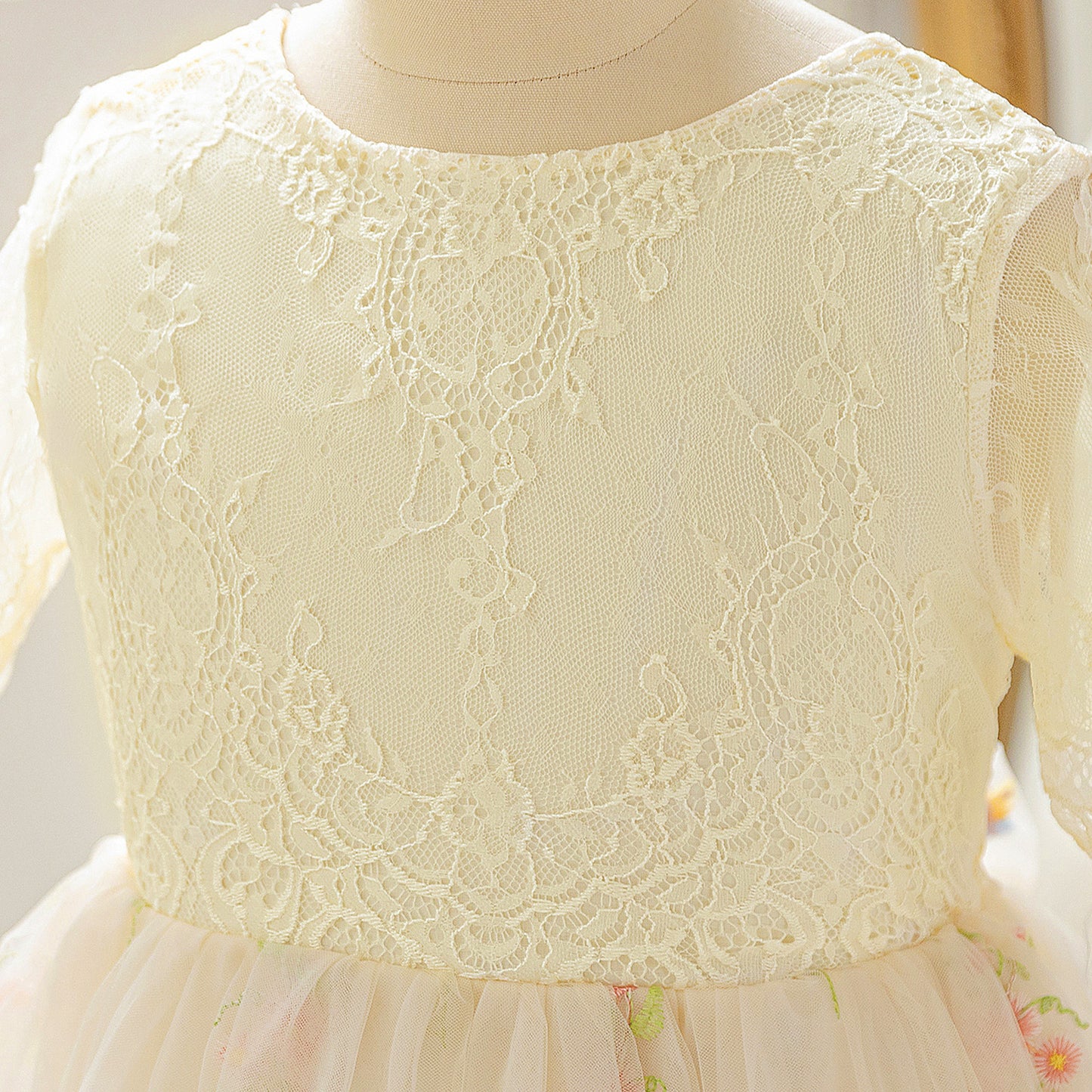 Champagne Embroidered Lace Princess Maxi Dress for Girls | Cute Flower Girl & Party Gown
