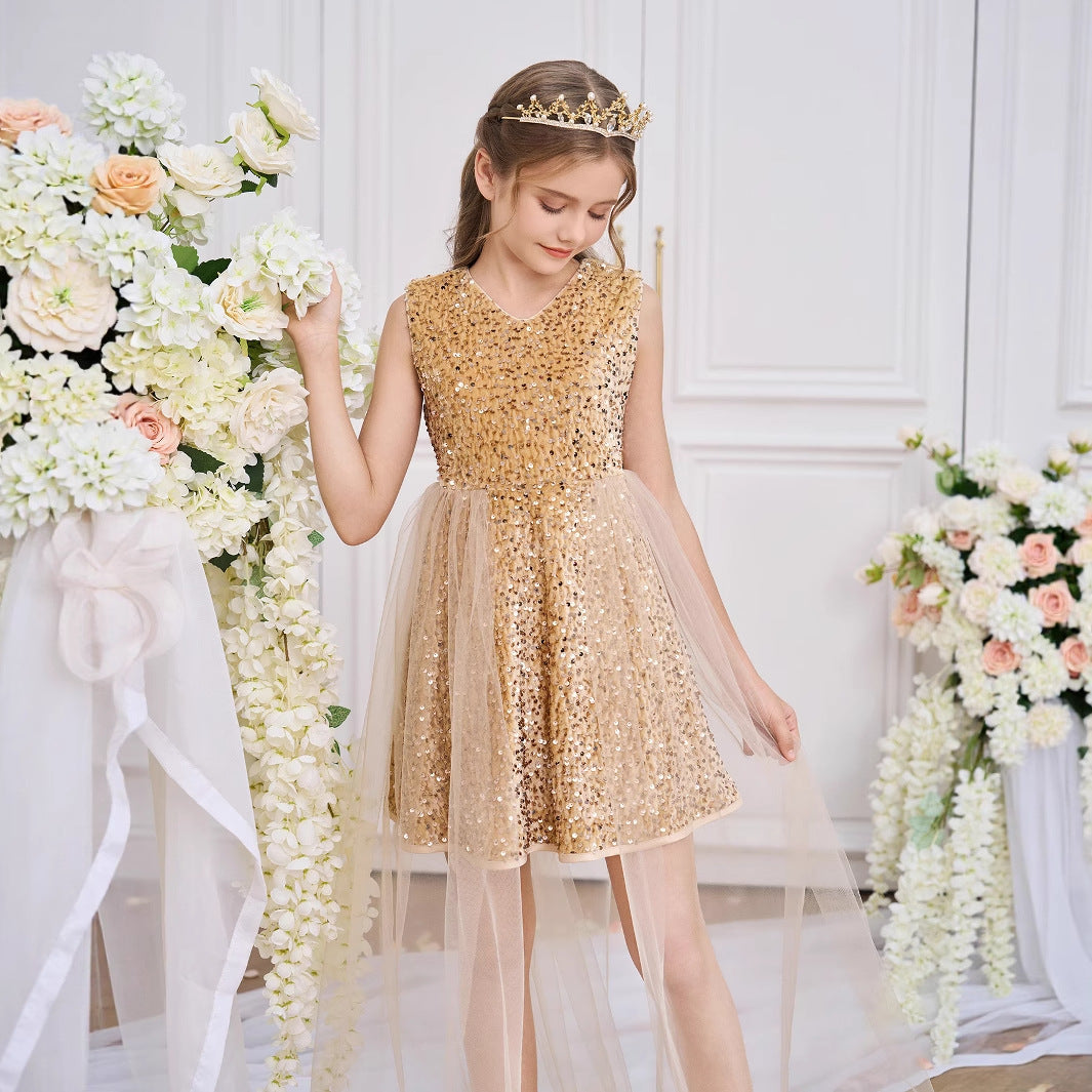 Champagne Sequin A-Line Party Dress for Kids | Cute Princess Tulle Gown