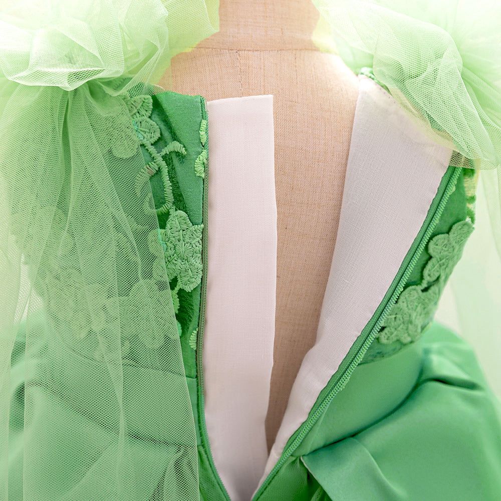 Cute Puffy Embroidered Tulle Ball Gown Dress for Girls (9M-4Y)