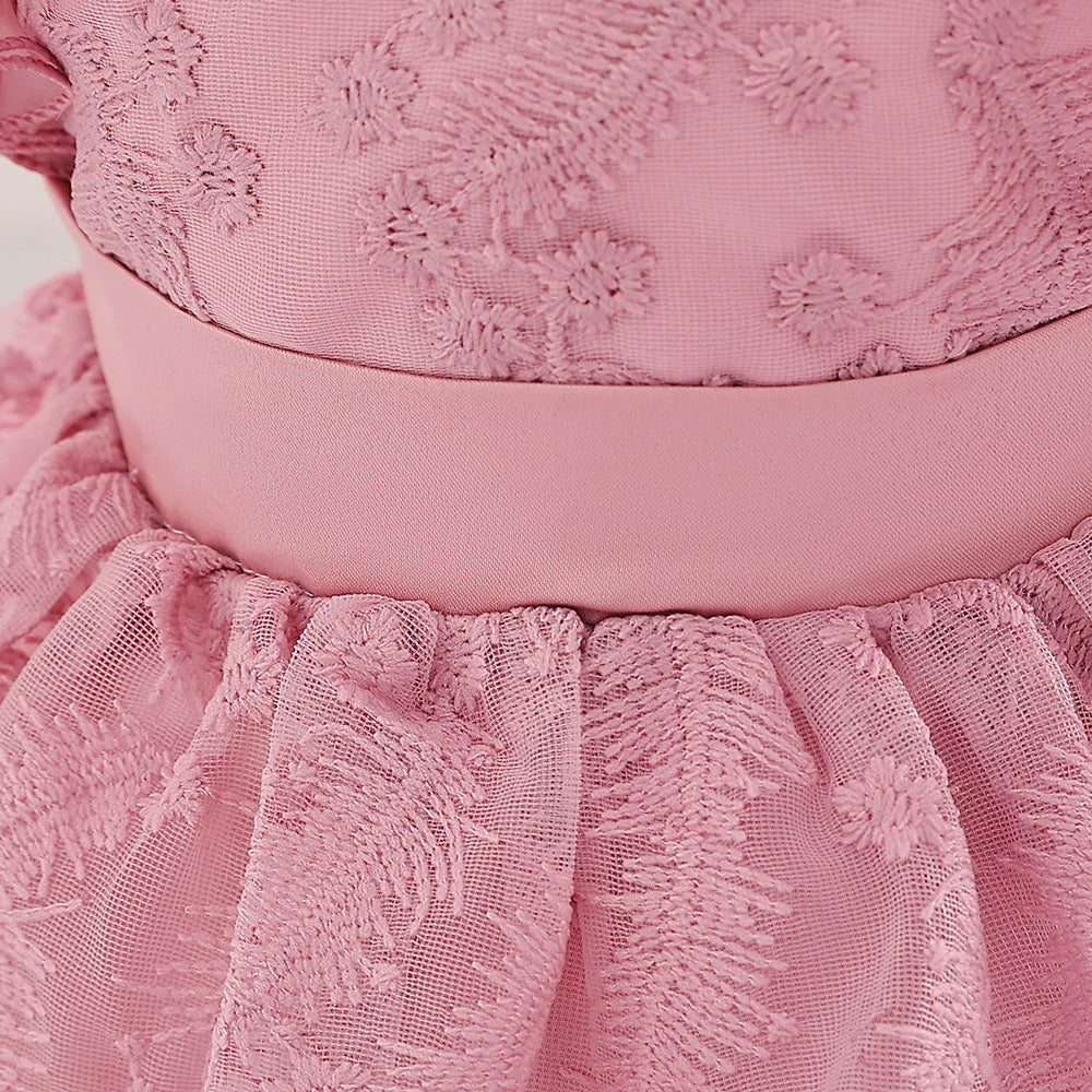 Embroidered Tiered Tulle A-Line Baby Dress for Special Occasions | Cute Baby Girl Party Dress