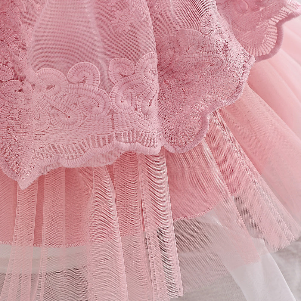 Embroidered Tiered Tulle A-Line Baby Dress for Special Occasions | Cute Baby Girl Party Dress