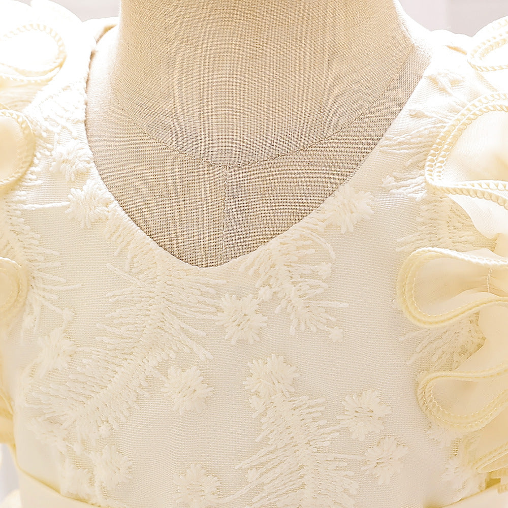 Embroidered Tiered Tulle A-Line Baby Dress for Special Occasions | Cute Baby Girl Party Dress