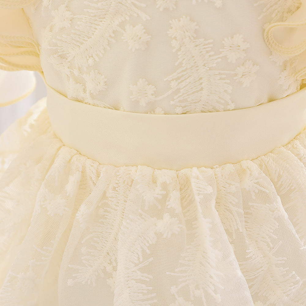 Embroidered Tiered Tulle A-Line Baby Dress for Special Occasions | Cute Baby Girl Party Dress