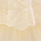 Embroidered Tiered Tulle A-Line Baby Dress for Special Occasions | Cute Baby Girl Party Dress