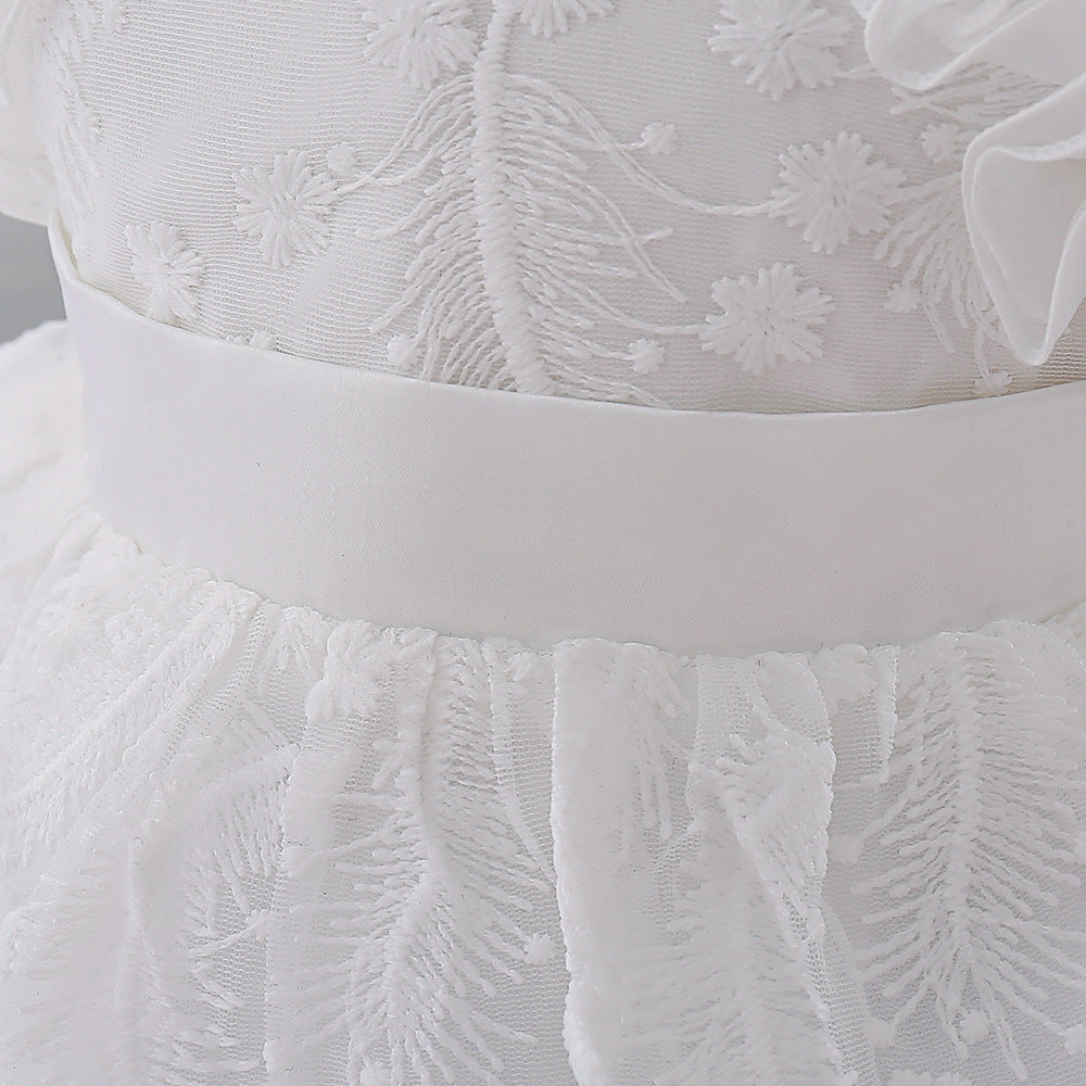 Embroidered Tiered Tulle A-Line Baby Dress for Special Occasions | Cute Baby Girl Party Dress