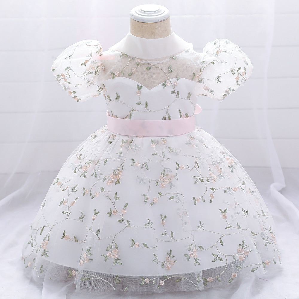 Embroidered Tulle Princess Dress for Girls | Puffy Ball Gown for Parties & Weddings