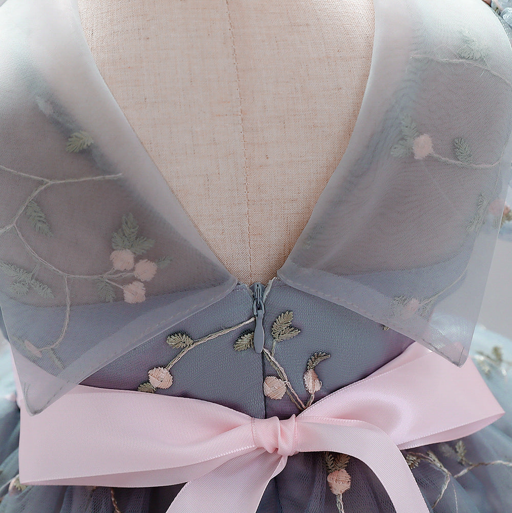 Embroidered Tulle Princess Dress for Girls | Puffy Ball Gown for Parties & Weddings