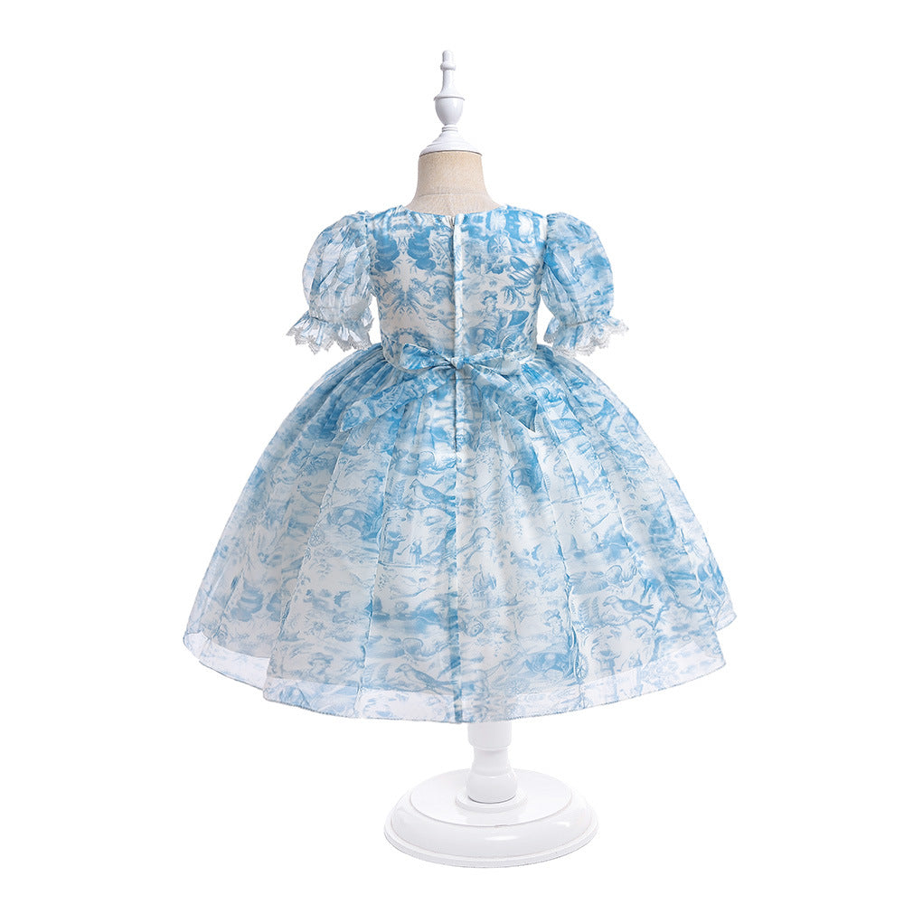 Light Blue Girls Princess A-Line Floral Tulle Dress for Parties, Weddings & Events