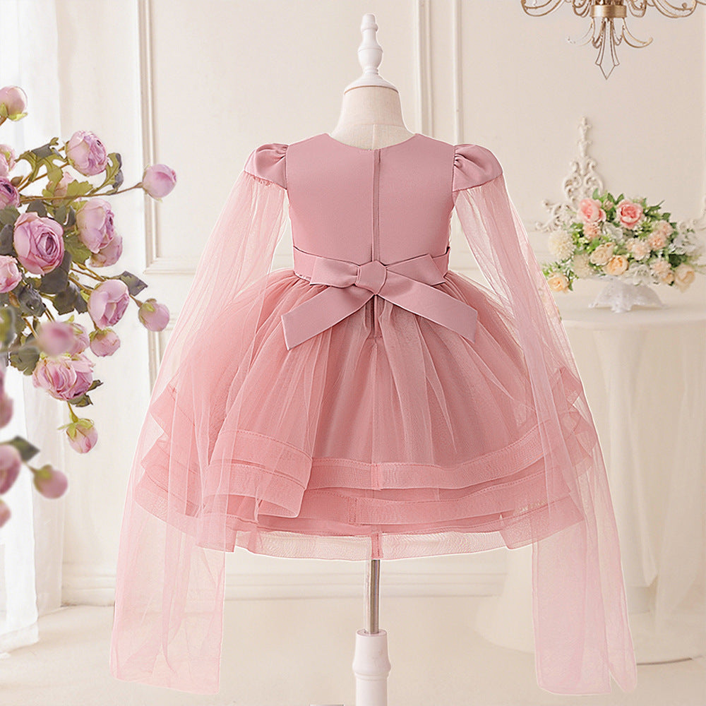 Light Pink Puffy Princess Dress for Girls | Embroidered Flower Girl Gown