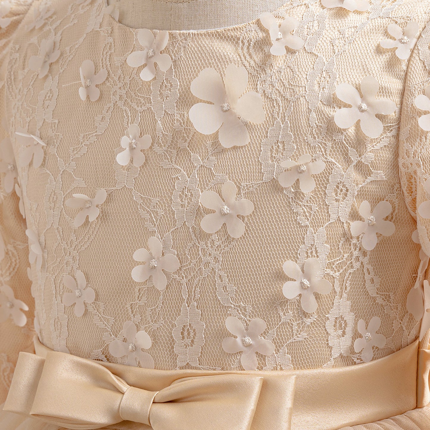 Cute A-Line Applique Princess Maxi Dress for Girls | Tulle & Lace Long Sleeve Gown