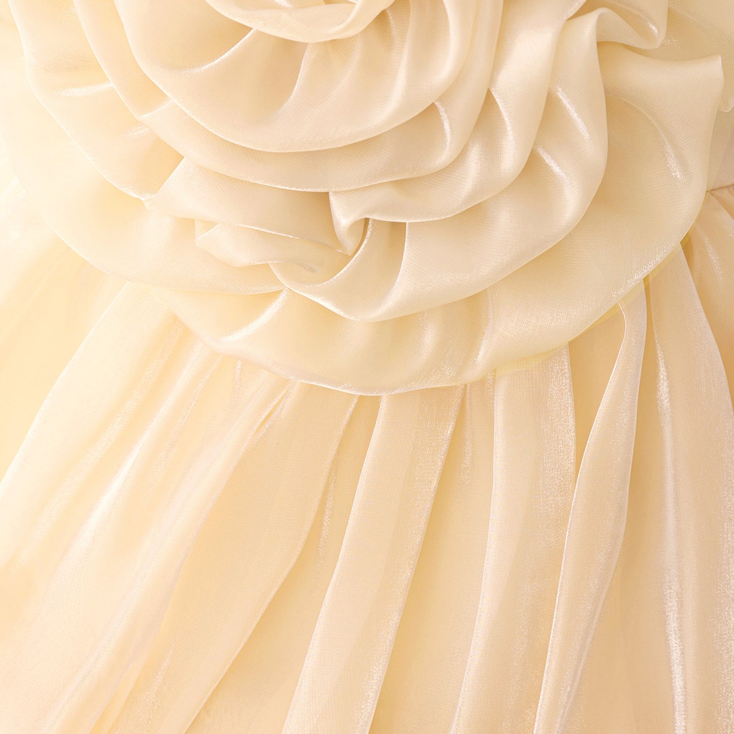 Off Shoulder Organza A-Line Princess Dress for Girls - Party Flower Girl Gown