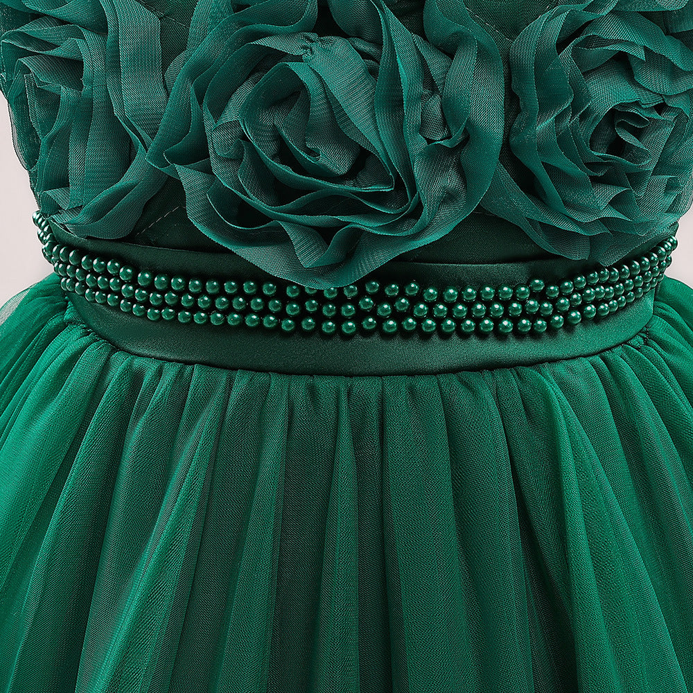 Princess Puffy Long Sleeve Ball Gown for Girls – Mesh Lace Maxi Occasion Dress