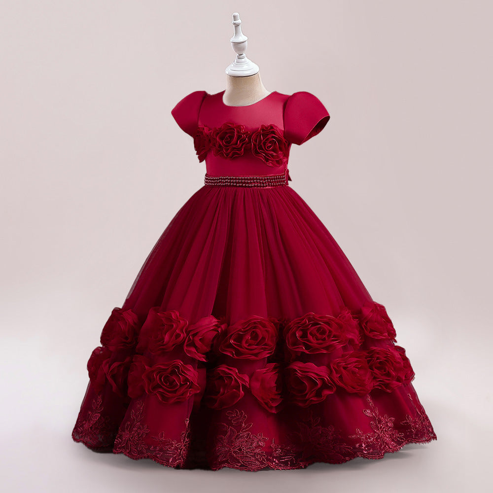 Princess Puffy Long Sleeve Ball Gown for Girls – Mesh Lace Maxi Occasion Dress