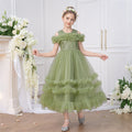 Avocado Green Embroidered Tulle Princess Dress for Girls