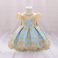 Champagne Embroidered Tulle Ball Gown Dress for Girls
