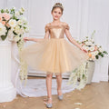 Champagne Off Shoulder Sequin Tulle A-Line Dress for Girls