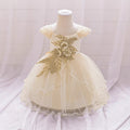 Champagne Puffy Flower Girl Dress with Applique