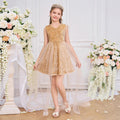 Champagne Sequin A-Line Party Dress for Girls