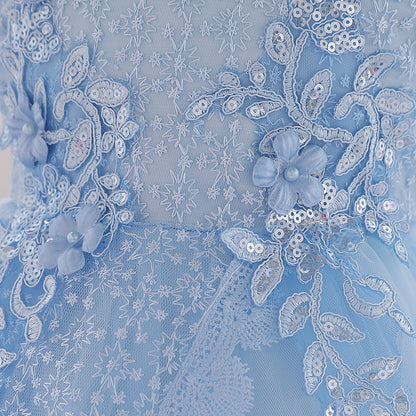 Frocklet Puffy Princess Ball Gown Dress for Baby Girls – Lace & Tulle Party Wear 11