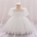 Embroidered Puffy Sleeve Tulle Princess Dress for Toddlers