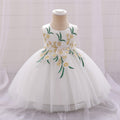 Embroidered Tulle Princess Dress with Applique and Tiered Skirt for Baby Girls