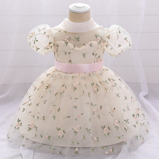 Embroidered Tulle Princess Dress for Girls | Puffy Ball Gown for Parties & Weddings