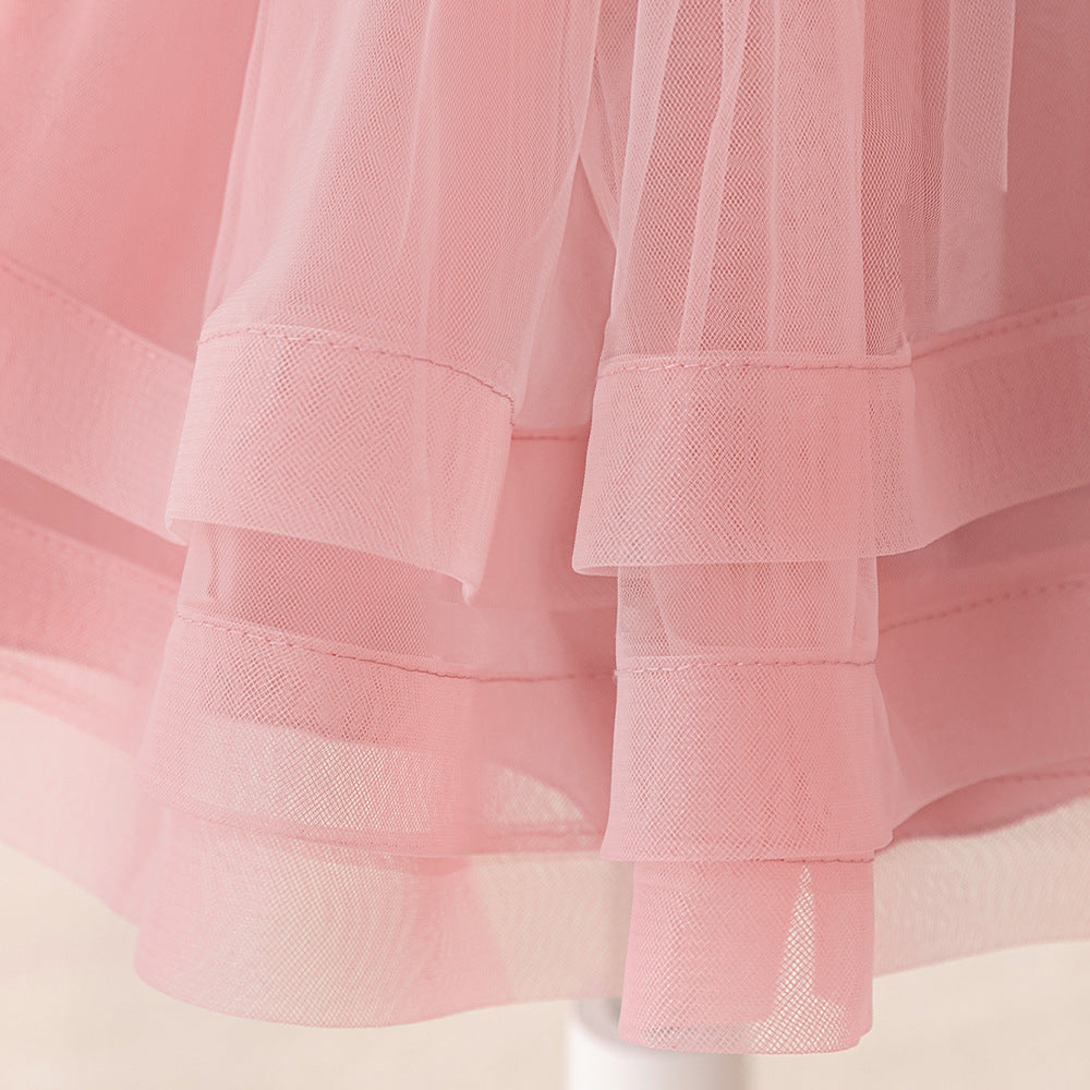 Light Pink Puffy Princess Dress for Girls | Embroidered Flower Girl Gown