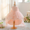 Light Pink High-Low Tulle Appliqué Dress for Girls