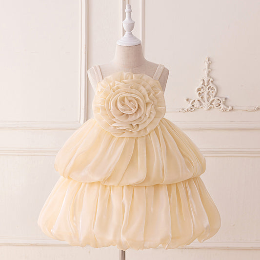 Off Shoulder Organza A-Line Princess Dress for Girls - Party Flower Girl Gown