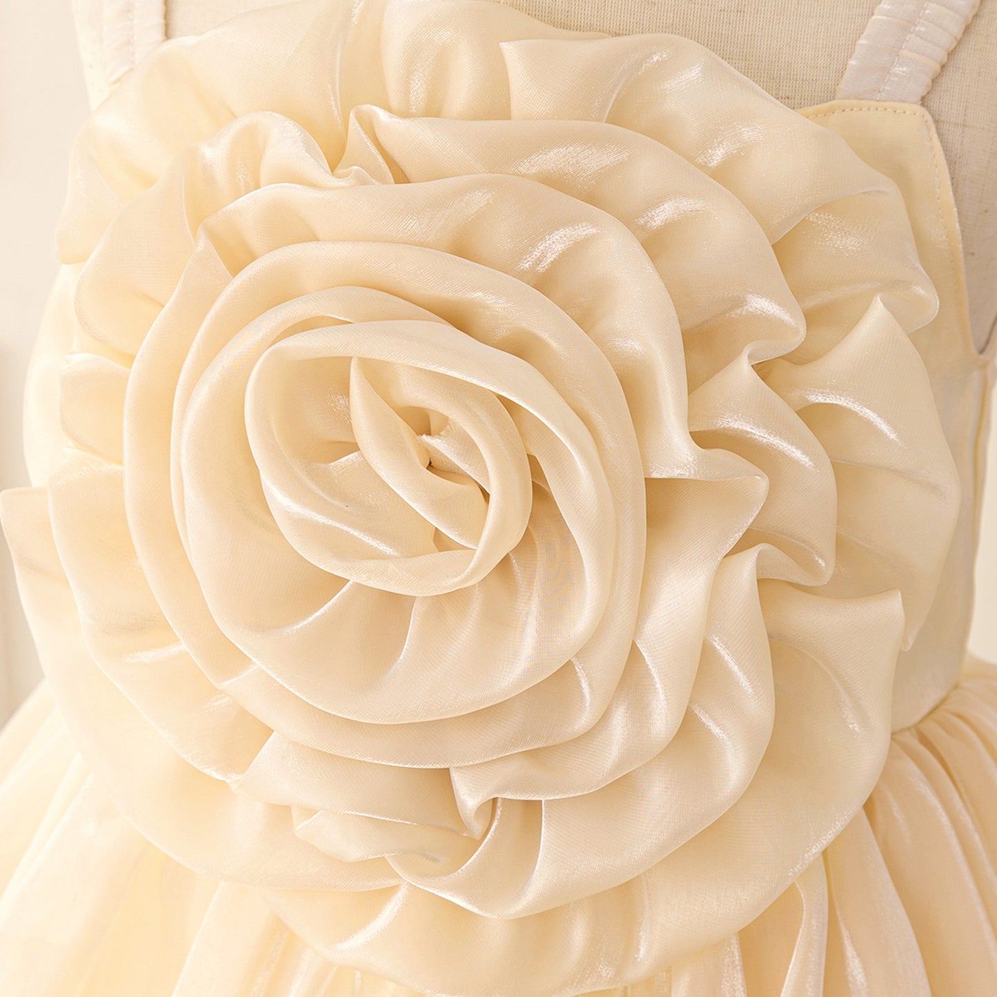 Off Shoulder Organza A-Line Princess Dress for Girls - Party Flower Girl Gown