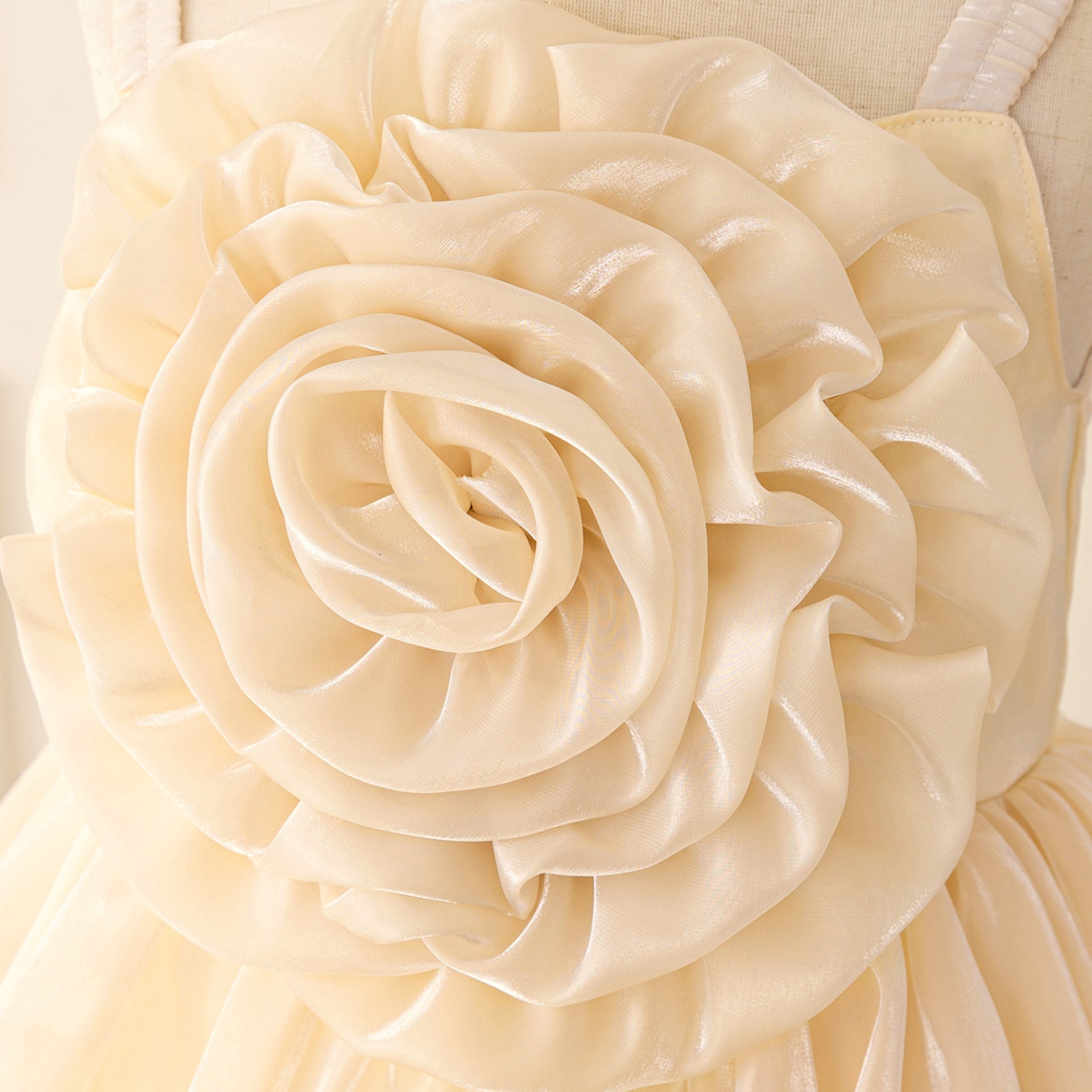 Off Shoulder Organza A-Line Princess Dress for Girls - Party Flower Girl Gown