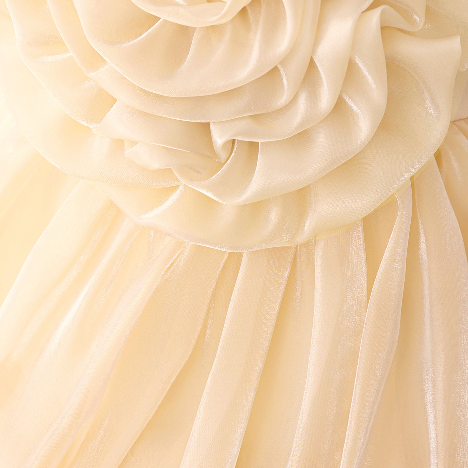 Off Shoulder Organza A-Line Princess Dress for Girls - Party Flower Girl Gown