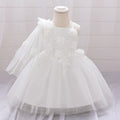 Off Shoulder Puffy Tulle Ball Gown Dress for Toddlers