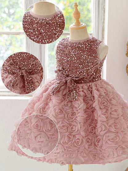 Frocklet Pink Puffy Sequin Princess Dress for Girls | Ball Gown Flower Girl Dress 4