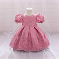Princess Ball Gown Lace Bow Dress for Girls