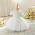 Princess Ball Gown Lace Puffy Dress for Baby Girls, White, Ages 0–3 Years