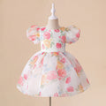 Princess Floral Ball Gown Puffy Dress for Baby Girls
