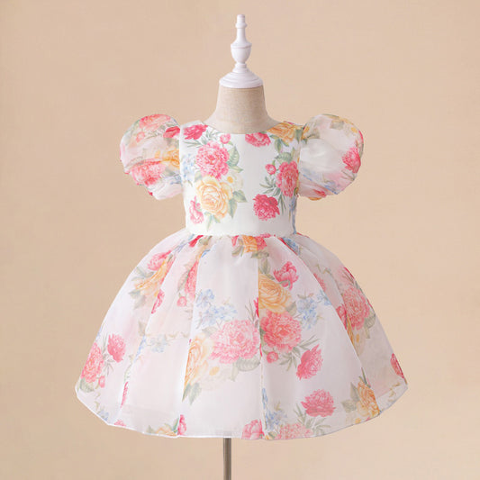 Princess Floral Ball Gown Puffy Dress for Babies & Toddlers | Party & Flower Girl Outfit