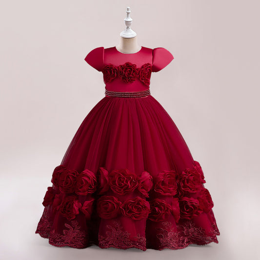 Princess Puffy Long Sleeve Ball Gown for Girls – Mesh Lace Maxi Occasion Dress