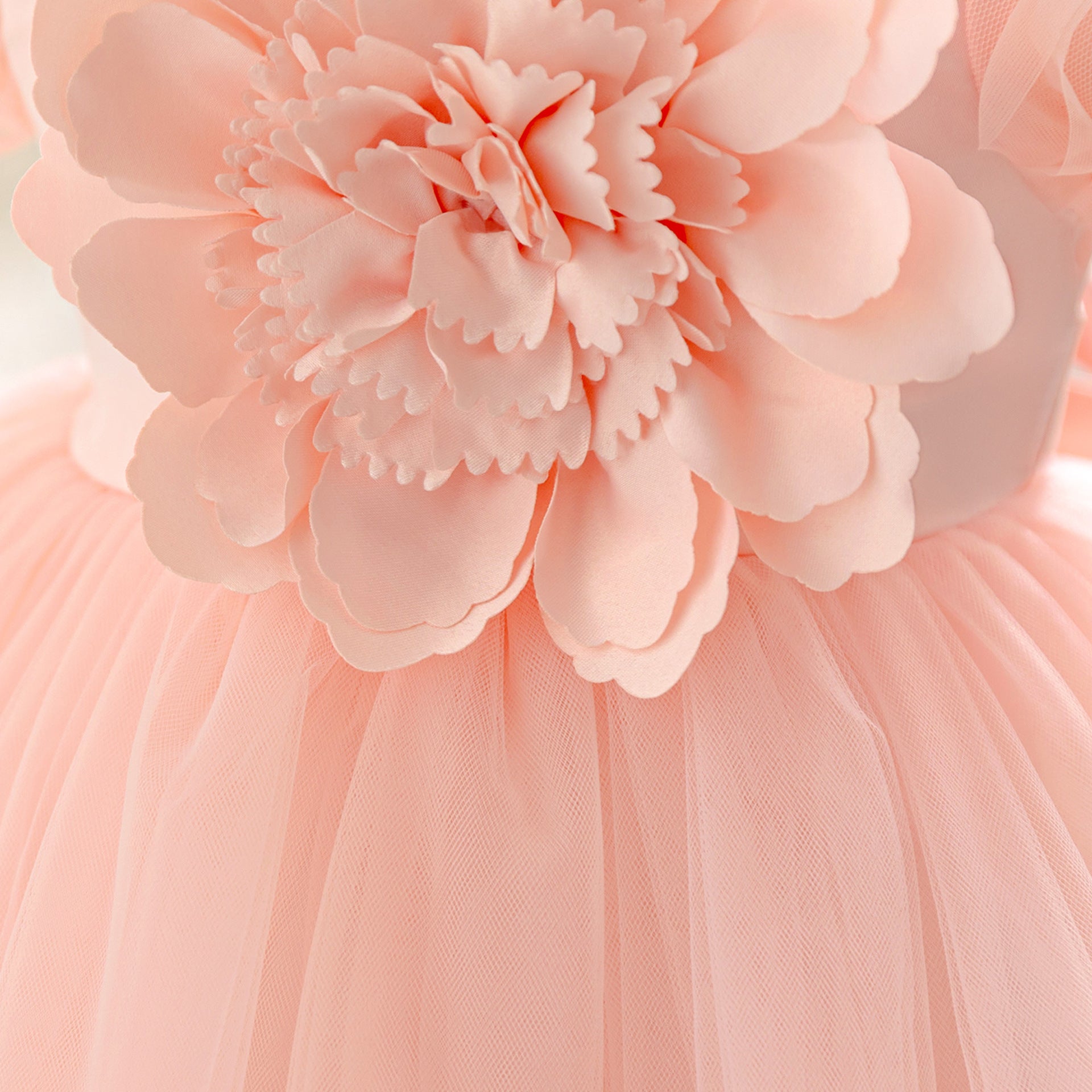 Princess Puffy Sleeve Tulle Ball Gown for Toddlers – Light Pink Party & Flower Girl Dress