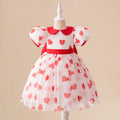 Princess Puffy Tulle Ball Gown Dress with Bowknot and Floral Print for Girls