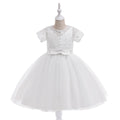 White Tulle A-Line Princess Dress for Girls